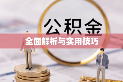 城中全面解析与实用技巧