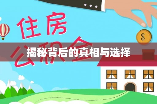 城中揭秘背后的真相与选择