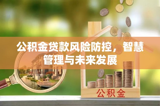 城中公积金贷款风险防控，智慧管理与未来发展