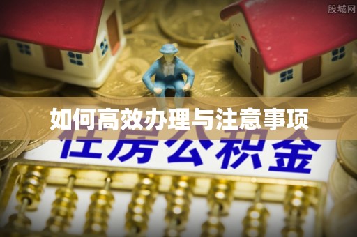 城中如何高效办理与注意事项