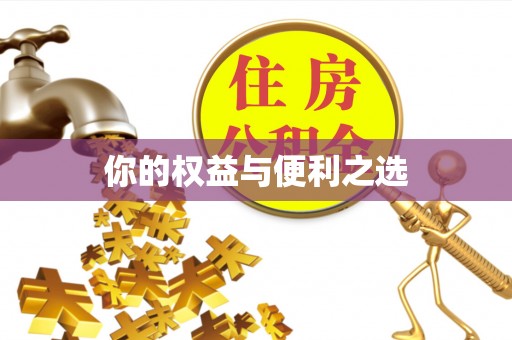 城中你的权益与便利之选