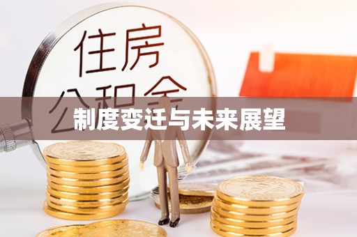 城中制度变迁与未来展望