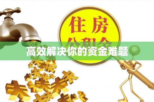 城中高效解决你的资金难题