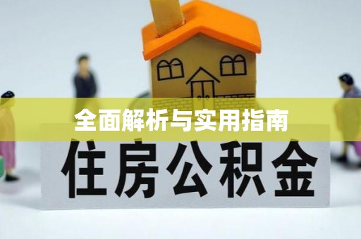 城中全面解析与实用指南