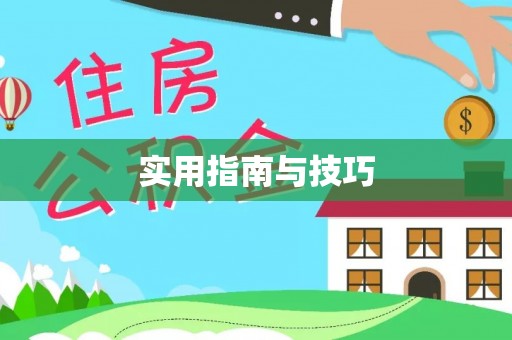 城中实用指南与技巧