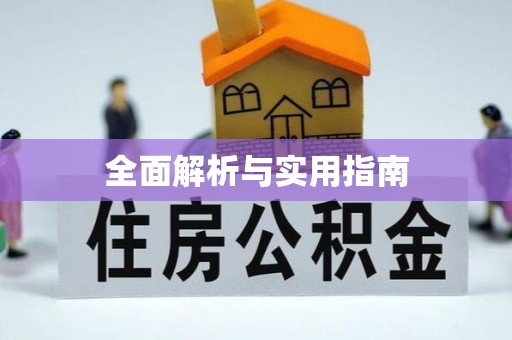 城中全面解析与实用指南