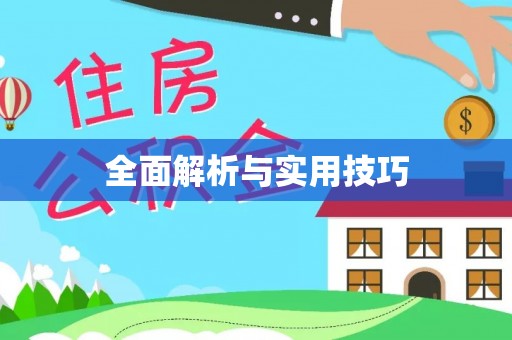 城中全面解析与实用技巧