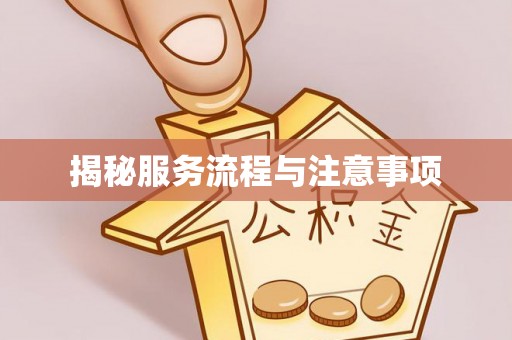 城中揭秘服务流程与注意事项