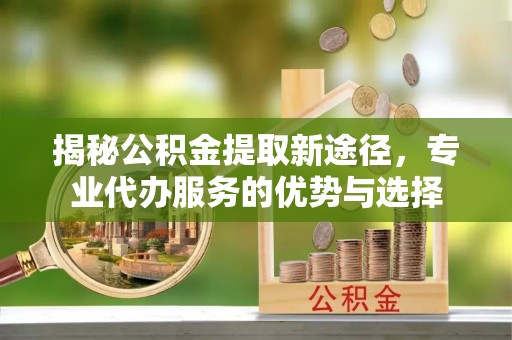 城中揭秘公积金提取新途径，专业代办服务的优势与选择