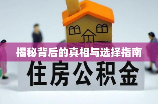 城中揭秘背后的真相与选择指南
