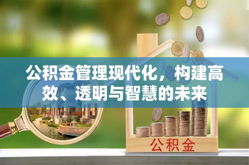 城中公积金管理现代化，构建高效、透明与智慧的未来