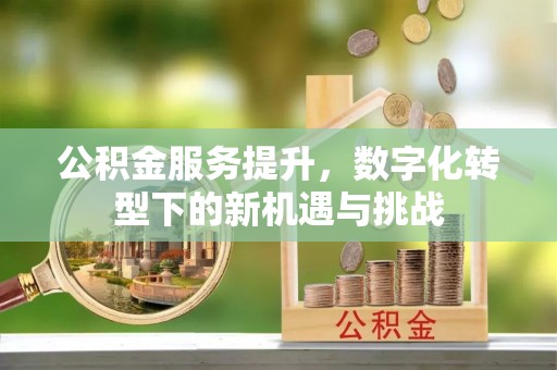 城中公积金服务提升，数字化转型下的新机遇与挑战