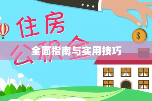 城中全面指南与实用技巧
