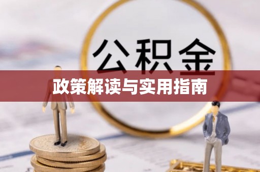 城中政策解读与实用指南