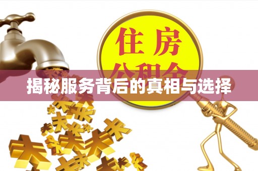 城中揭秘服务背后的真相与选择