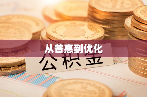 城中从普惠到优化