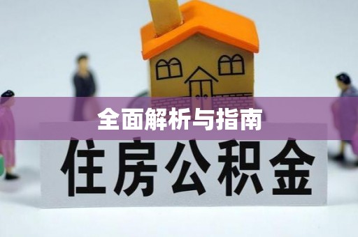 城中全面解析与指南
