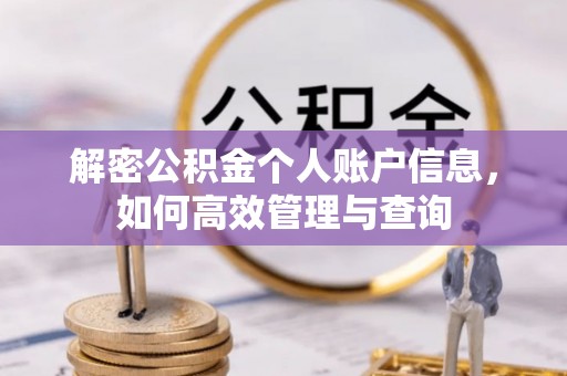 城中解密公积金个人账户信息，如何高效管理与查询