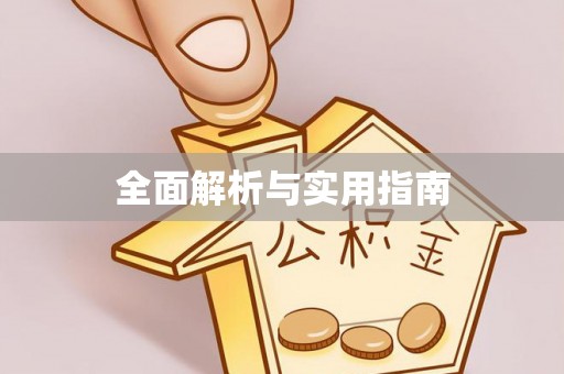 城中全面解析与实用指南