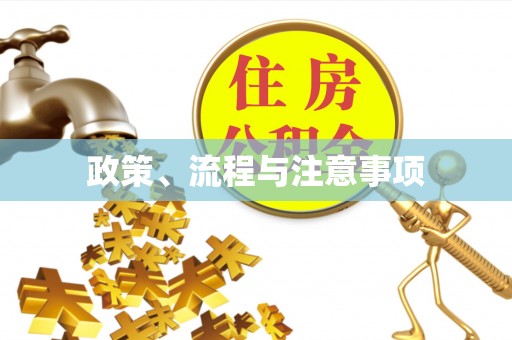 城中政策、流程与注意事项