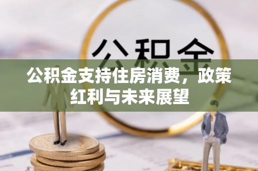城中公积金支持住房消费，政策红利与未来展望