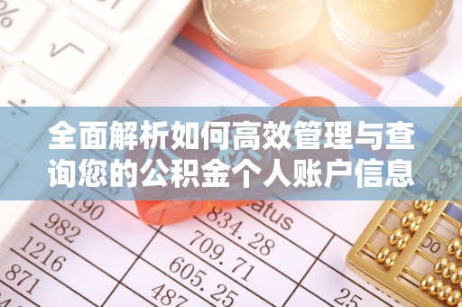 城中全面解析如何高效管理与查询您的公积金个人账户信息