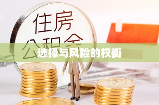 城中选择与风险的权衡