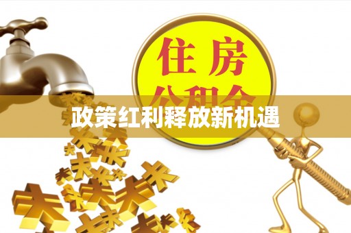 城中政策红利释放新机遇