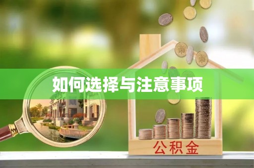 城中如何选择与注意事项