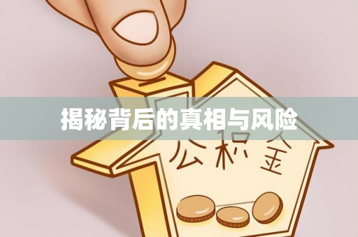城中揭秘背后的真相与风险