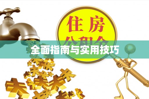 城中全面指南与实用技巧