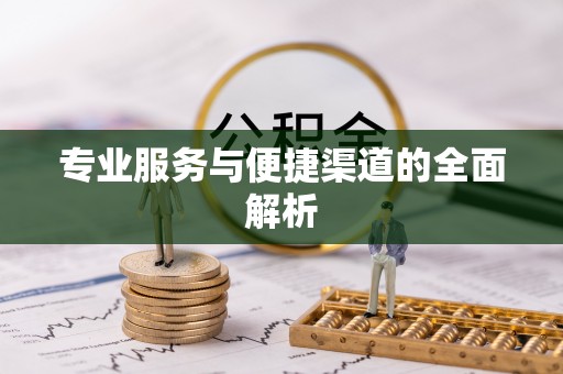城中专业服务与便捷渠道的全面解析