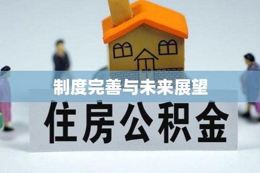 城中制度完善与未来展望