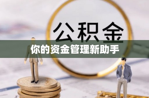 城中你的资金管理新助手