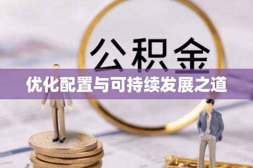 城中优化配置与可持续发展之道