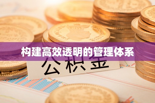 城中构建高效透明的管理体系
