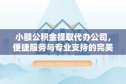 城中小额公积金提取代办公司，便捷服务与专业支持的完美结合