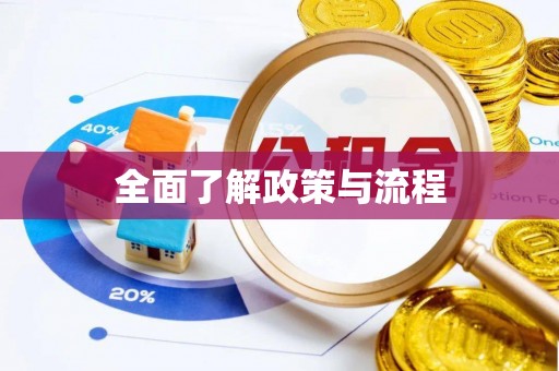 城中全面了解政策与流程