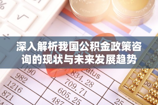 城中深入解析我国公积金政策咨询的现状与未来发展趋势