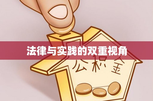 城中法律与实践的双重视角