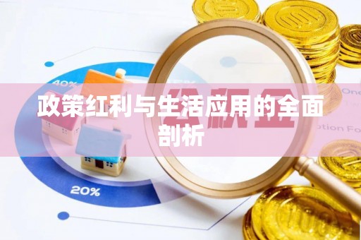 城中政策红利与生活应用的全面剖析
