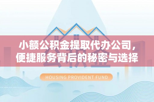 城中小额公积金提取代办公司，便捷服务背后的秘密与选择指南