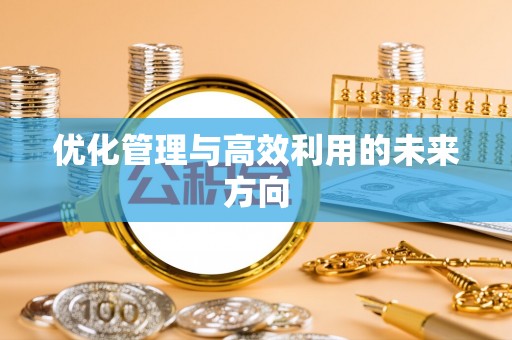 城中优化管理与高效利用的未来方向