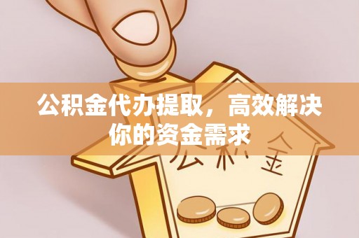 城中公积金代办提取，高效解决你的资金需求