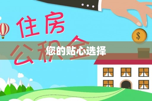 城中您的贴心选择