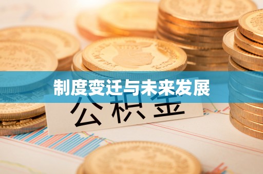 城中制度变迁与未来发展