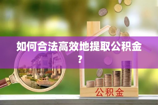 城中如何合法高效地提取公积金？