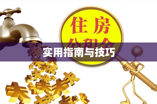 城中实用指南与技巧