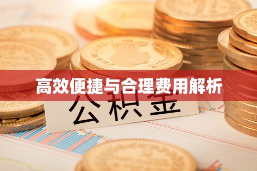 城中高效便捷与合理费用解析