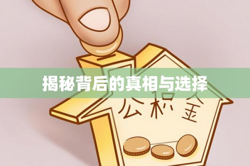 城中揭秘背后的真相与选择